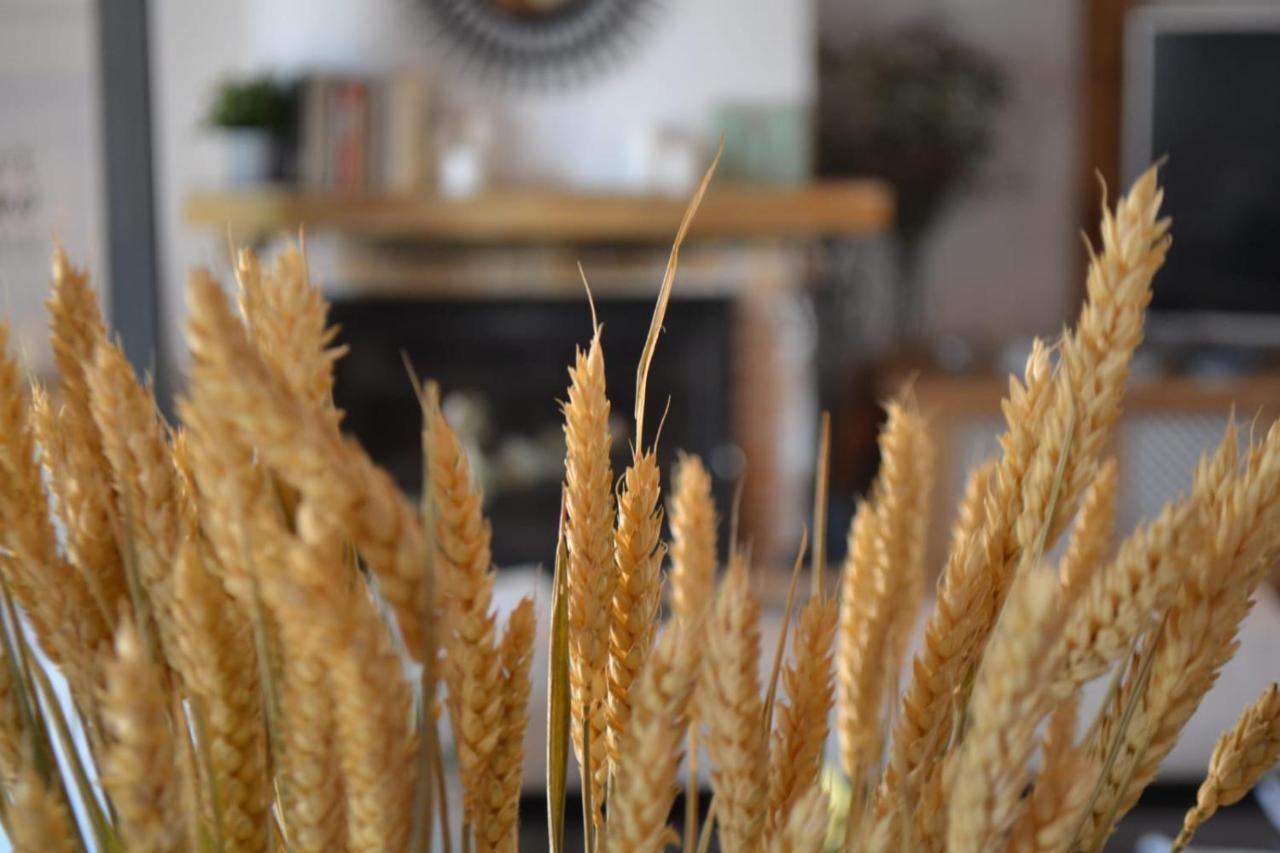 Finca Paredes Valdetorres de Jarama Екстериор снимка