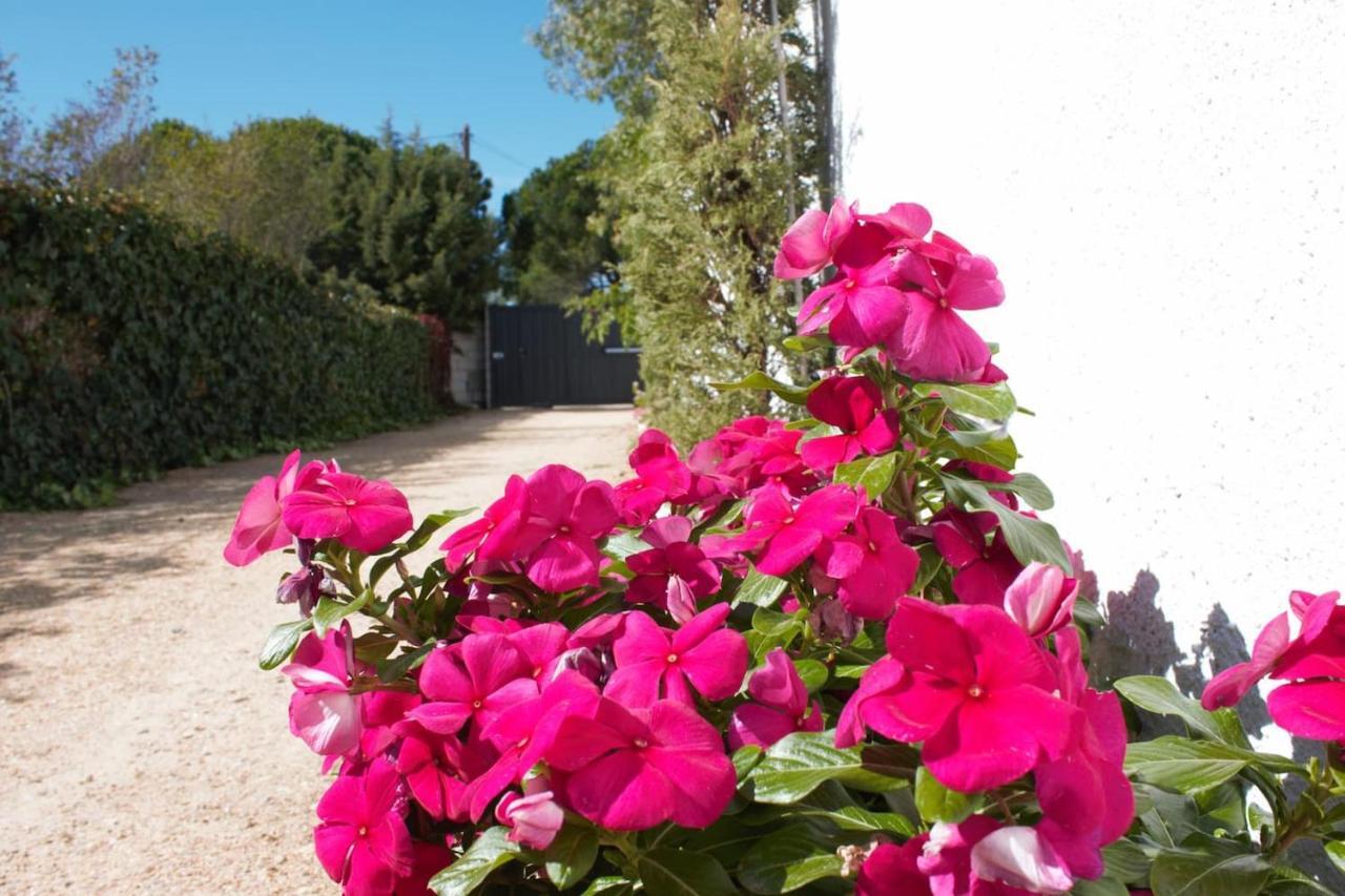 Finca Paredes Valdetorres de Jarama Екстериор снимка