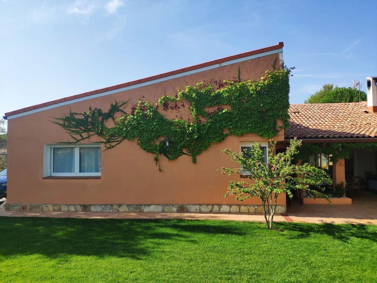 Finca Paredes Valdetorres de Jarama Екстериор снимка