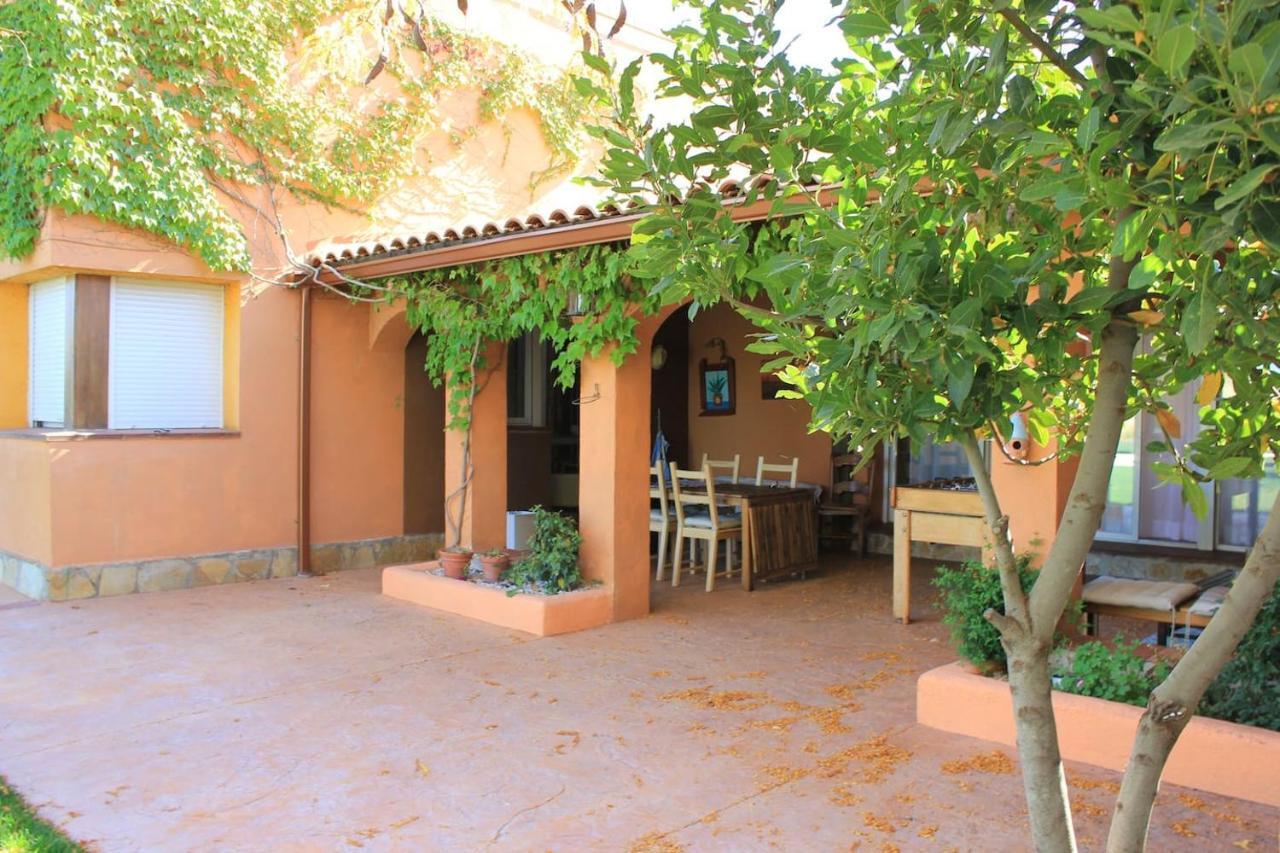 Finca Paredes Valdetorres de Jarama Екстериор снимка