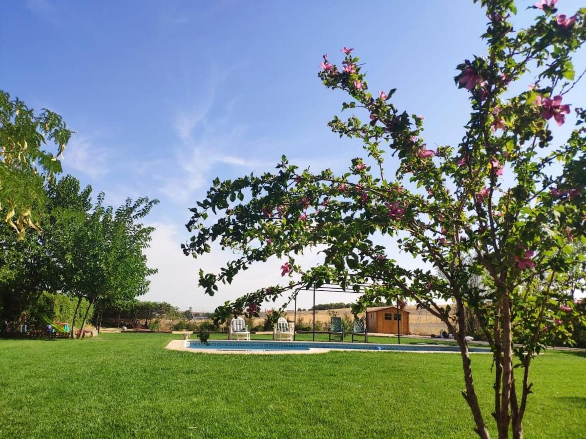 Finca Paredes Valdetorres de Jarama Екстериор снимка