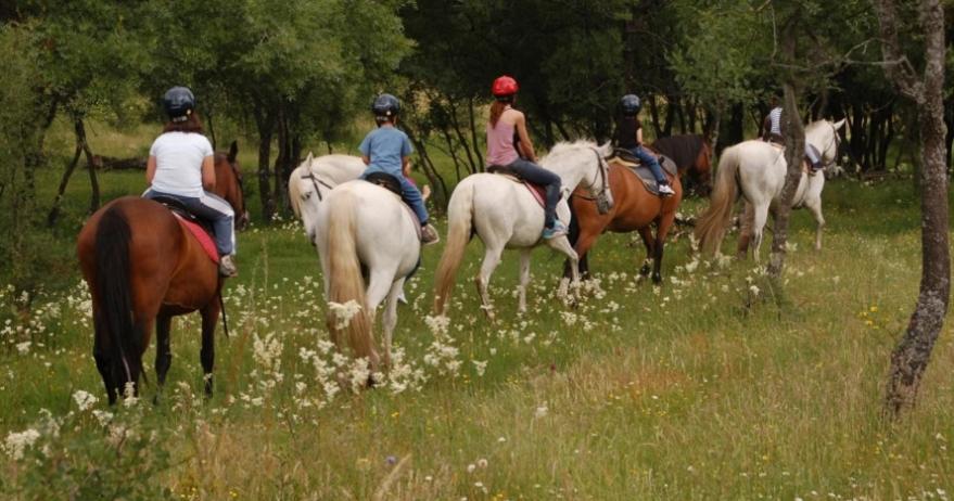 Finca Paredes Valdetorres de Jarama Екстериор снимка